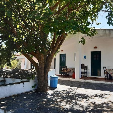 Horta Do Muro Guest House Campo Maior Bagian luar foto