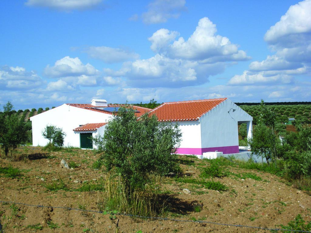 Horta Do Muro Guest House Campo Maior Bagian luar foto