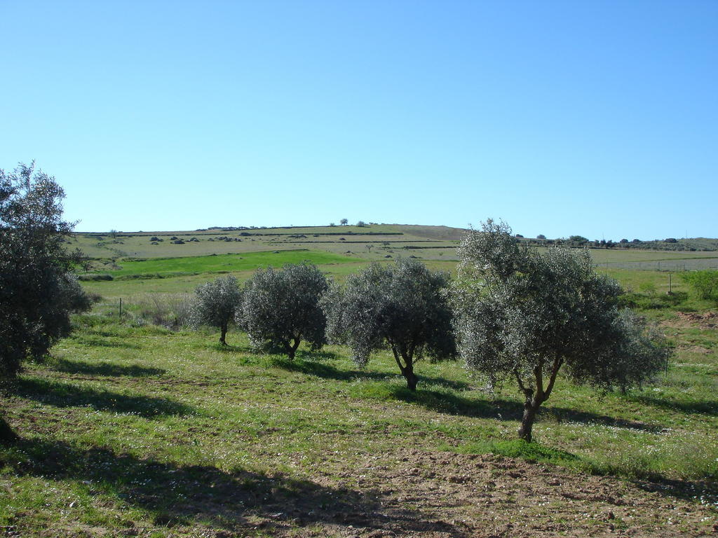 Horta Do Muro Guest House Campo Maior Bagian luar foto